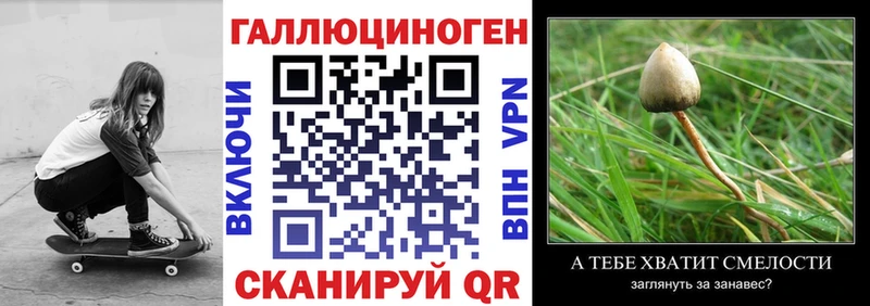 Галлюциногенные грибы GOLDEN TEACHER  Котово 